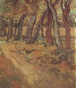 Vincent Van Gogh The Garden of Saint-Paul Hospital with Figure (nn04) Sweden oil painting artist